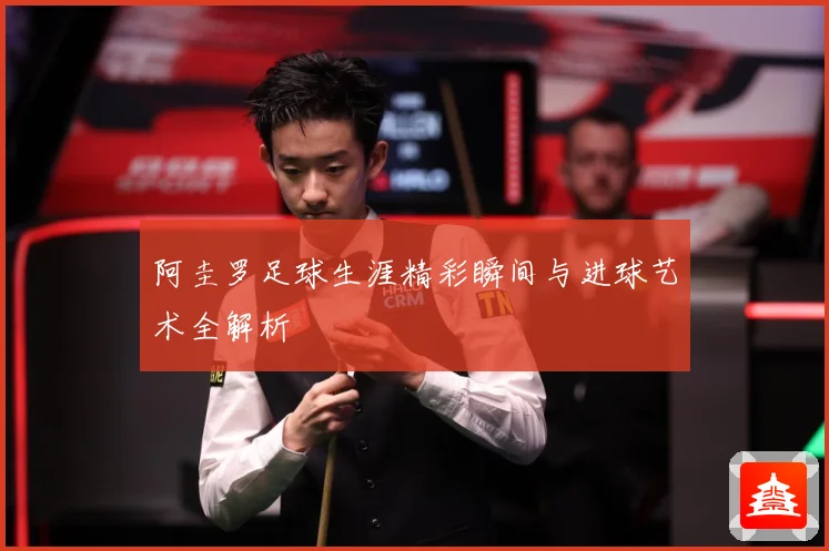 阿圭罗足球生涯精彩瞬间与进球艺术全解析